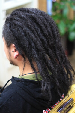 ソフトドレッド 417