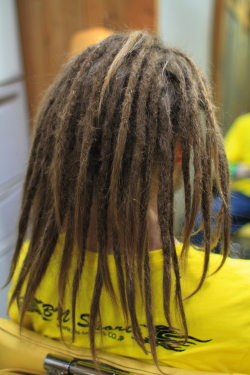 ソフトドレッド 424