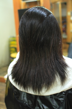 ソフトドレッド 427