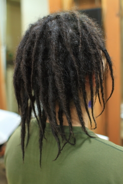 ソフトドレッド 437