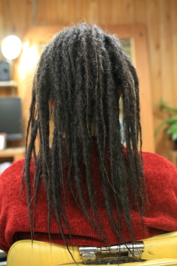 ソフトドレッド 442