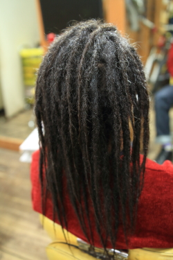 ソフトドレッド 443