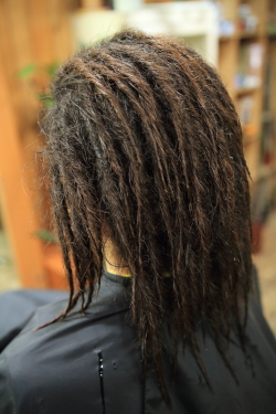 ソフトドレッド 448