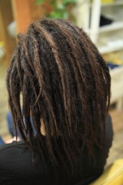 ソフトドレッド 454