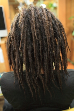 ソフトドレッド 455