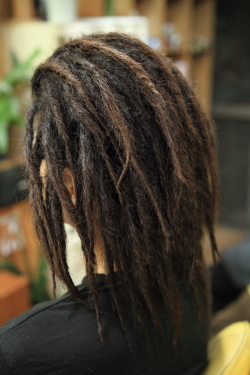 ソフトドレッド 457