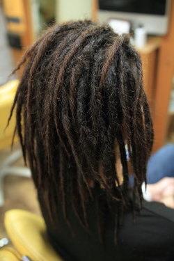 ソフトドレッド 458