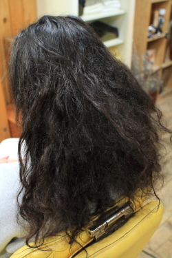 ソフトドレッド 469