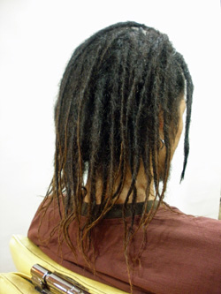 ソフトドレッド 47