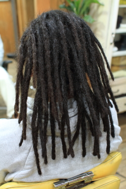 ソフトドレッド 475