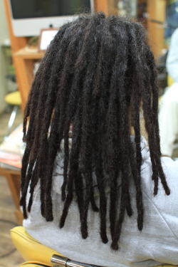 ソフトドレッド 476