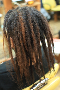 ソフトドレッド 479