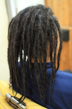 ソフトドレッド 484