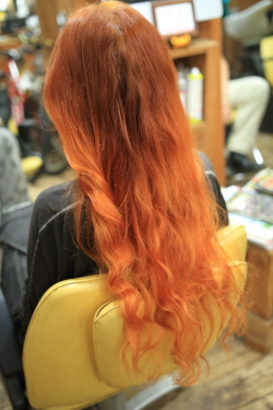 ソフトドレッド 488