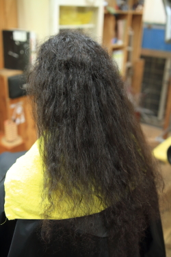 ソフトドレッド 494