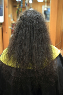 ソフトドレッド 495