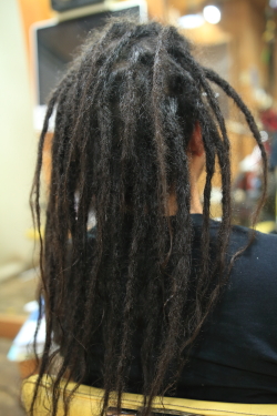 ソフトドレッド 497