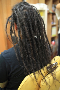 ソフトドレッド 498