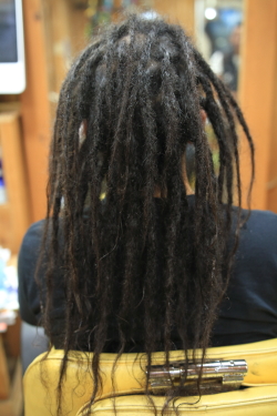 ソフトドレッド 499