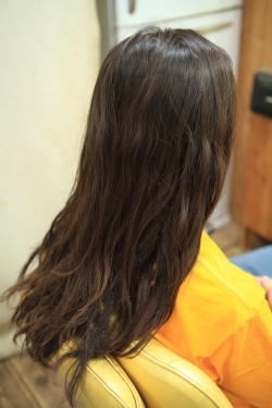 ソフトドレッド 501