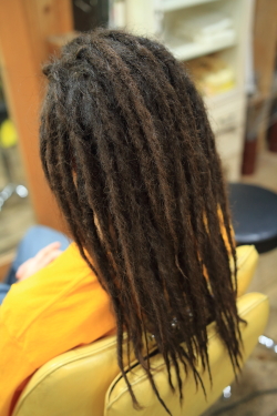 ソフトドレッド 502