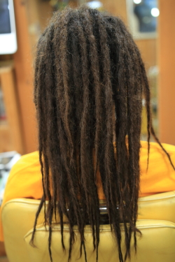 ソフトドレッド 503