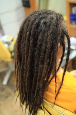 ソフトドレッド 504