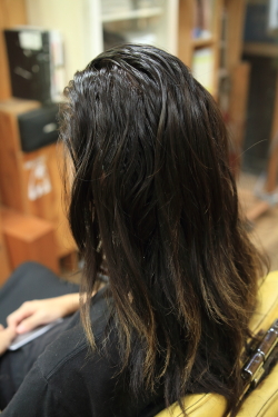 ソフトドレッド 505