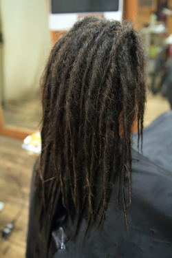 ソフトドレッド 509