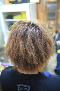 ソフトドレッド 515