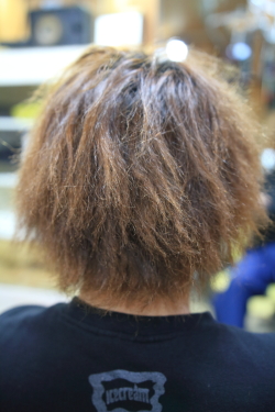 ソフトドレッド 516