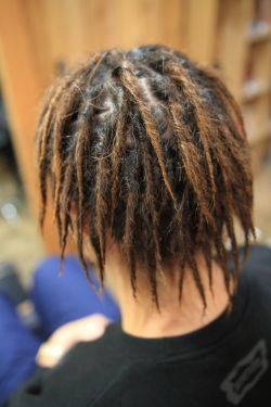 ソフトドレッド 517