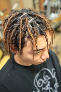 ソフトドレッド 518