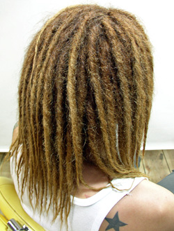 ソフトドレッド 58