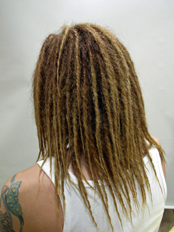 ソフトドレッド 59