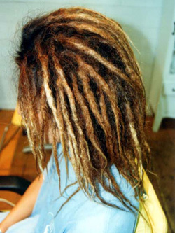 ソフトドレッド 63