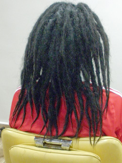 ソフトドレッド 66