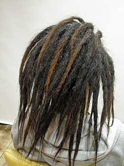 ソフトドレッド 74