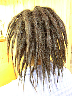 ソフトドレッド 9