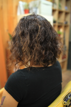 スパイラルパーマ 256