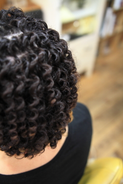 スパイラルパーマ 262