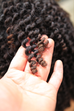 スパイラルパーマ 309