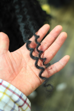 スパイラルパーマ 333