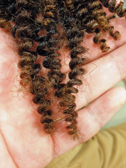 スパイラルパーマ 56