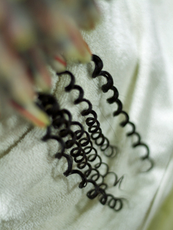 スパイラルパーマ 66