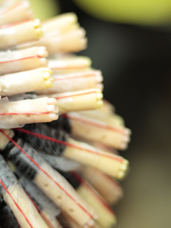 スパイラルパーマ 99