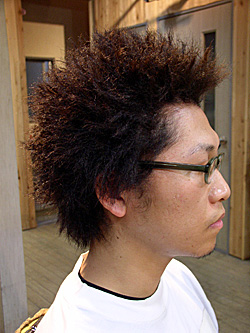 ツイストドレッド 25