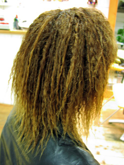 ツイストドレッド 27