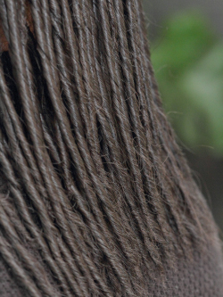 ツイストドレッド 331