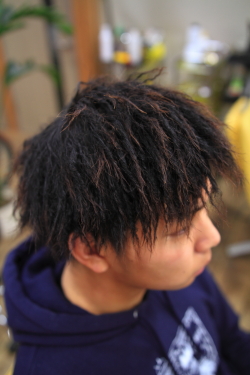 ツイストドレッド 494